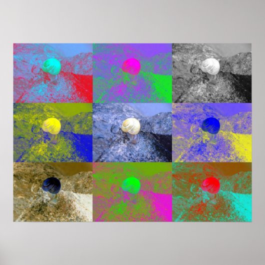 カタニルセパエアアポップ・アートのート ポスター (正面)