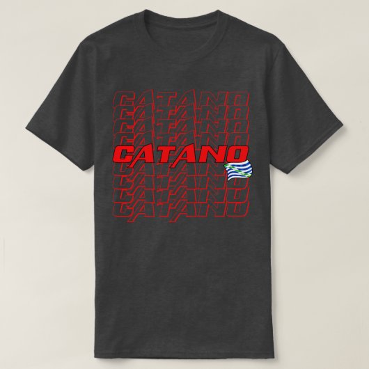 カタノカスケード文字3 Tシャツ (デザイン正面)