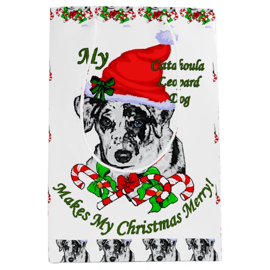 カタフラレオパード愛好家クリスマス ミディアムペーパーバッグ (正面)