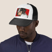 カタフーラカラーブロック キャップ (インサイチュ)