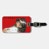 カタフーラカラーブロック ラゲッジタグ (正面横)