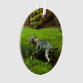 カタホウラワイルドホッグ オーナメント (正面)