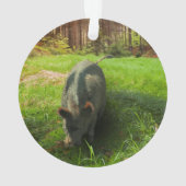 カタホウラワイルドホッグ オーナメント (裏面)