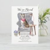 カタホラレオパドッグ |お知らせ 案内状 (スタンド正面)