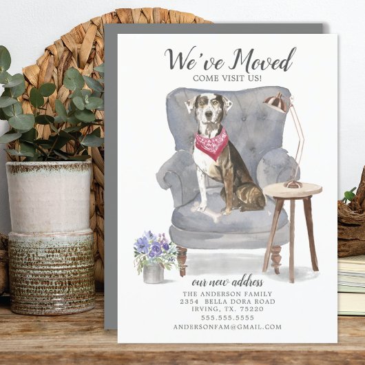 カタホラレオパドッグ |お知らせ 案内状