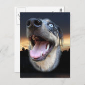 カタホラレオパドドグサンセット ポストカード (正面/裏面)