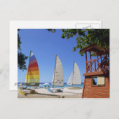 カタマランとライフガードオンビーチ ポストカード (正面/裏面)