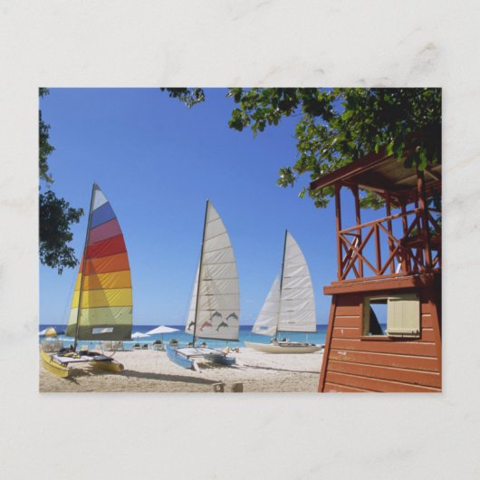 カタマランとライフガードオンビーチ ポストカード (正面)