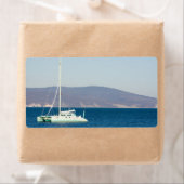 カタマラン ラベル (インサイチュ)