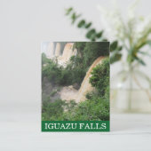 カタラタイグアスのジャングル ポストカード (スタンド正面)