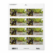 カタラワインラベル ラベル (フルシート)