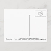 カタリナアイランドカジノ ポストカード (裏面)