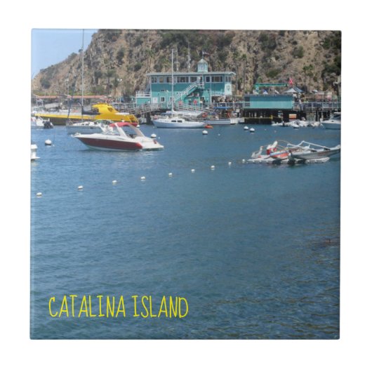 カタリナアイランドセラミックタイルザグリーンハウス タイル (正面)