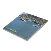 カタリナアイランドセラミックタイルザグリーンハウス タイル (側面)