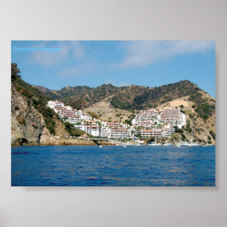 カタリナアイランドマウンテンズポスター ポスター