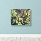 カタリナキュラント キャンバスプリント (インサイチュ (ウッドフロア))