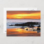 カタリナサンセット ポストカード (正面/裏面)