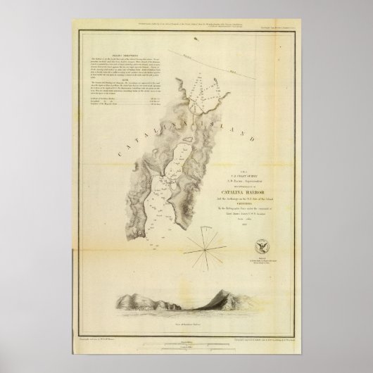 カタリナハーバー ポスター (正面)