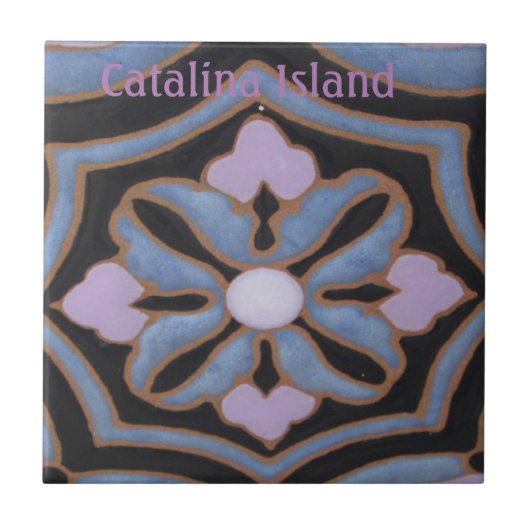 カタリナ島のセラミックタイル カタリナの色 タイル (正面)