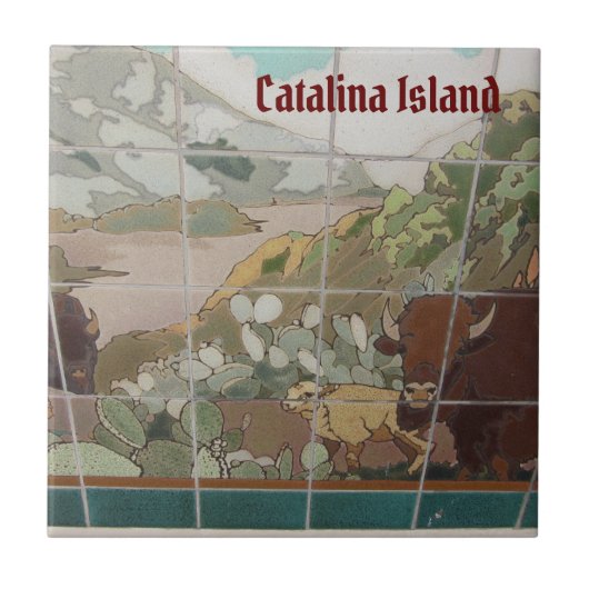 カタリナ島の陶器タイル カタリナ バッファロー タイル (正面)