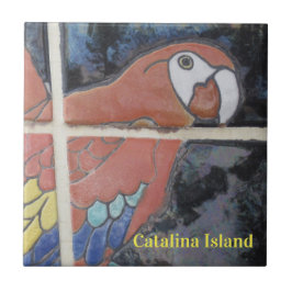 カタリナ島の陶器タイル THE EYE OF CATALINA タイル