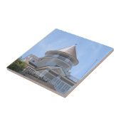 カタリナ島セラミックタイルの上からの眺め タイル (側面)