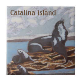 カタリナ島セラミックタイルカタリナファミリー タイル