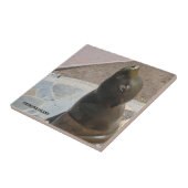 カタリナ島セラミックタイル鼻部 タイル (側面)