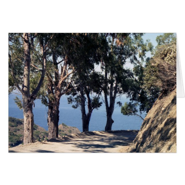 カタリナ島 (正面横)