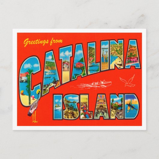 カタリナ島、カリフォルニアトラベルからの挨拶 ポストカード (正面)
