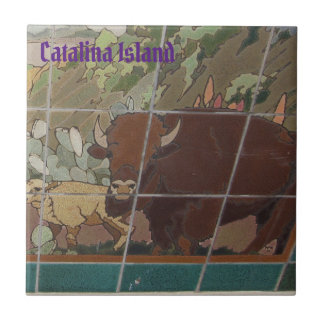 カタリナ島 セラミックタイル 島の顔