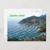 カタリナ島 ポストカード (正面/裏面)