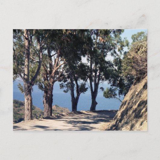 カタリナ島 ポストカード (正面)