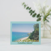 カタリナ島 ポストカード (スタンド正面)
