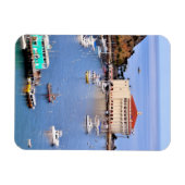 カタリナ島 マグネット (横)