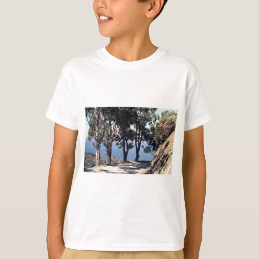 カタリナ島 Tシャツ (正面)