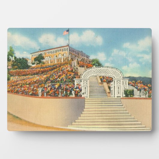 カタリナ フォトプラーク (正面)