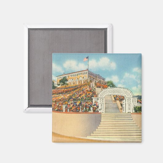 カタリナ マグネット (正面/裏面)