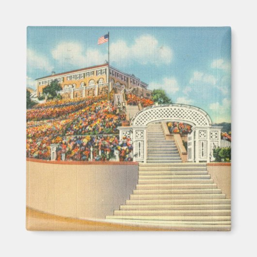 カタリナ マグネット (正面)