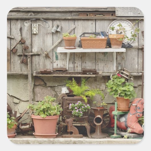 カタリーナ島の木垣に飾りをつけ スクエアシール (正面)