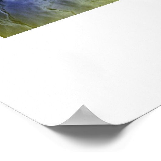 カタリーナ1 ポスター (角)