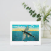 カタリ飛んでいるナ島で魚 ポストカード (スタンド正面)