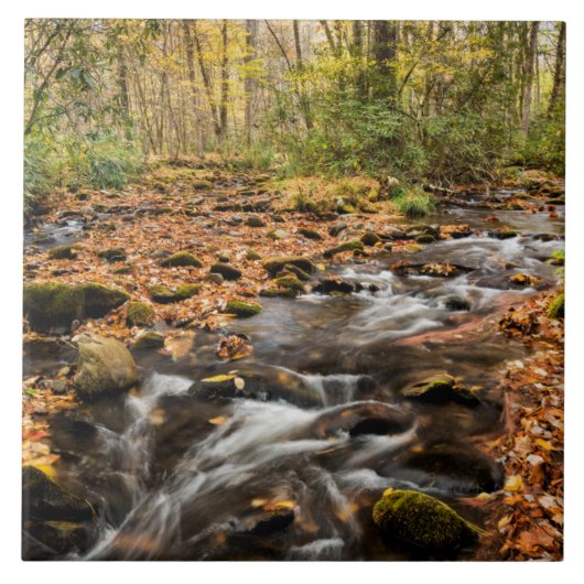 カタロオーシェクリークNCスモ素晴らしキー山脈 タイル (正面)