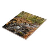 カタロオーシェクリークNCスモ素晴らしキー山脈 タイル (側面)