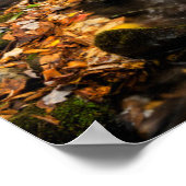 カタロオーシェクリークNCスモ素晴らしキー山脈 ポスター (角)