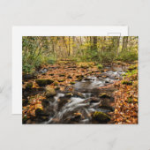 カタロオーシェクリークNCスモ素晴らしキー山脈 ポストカード (正面/裏面)