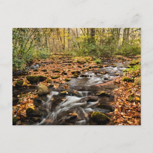 カタロオーシェクリークNCスモ素晴らしキー山脈 ポストカード (正面)