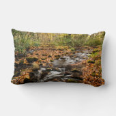 カタロオーシェクリークNCスモ素晴らしキー山脈 ランバークッション (裏面)