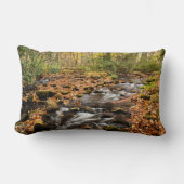 カタロオーシェクリークNCスモ素晴らしキー山脈 ランバークッション (正面)