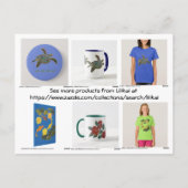 カタログカード – Lilikai Turtle 案内ポストカード (裏面)